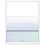 Checks & Security Paper